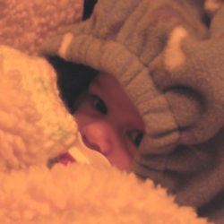 A picture of Carolyn's eyes peeking out from under a snowsuit hood and over a fluffy blanket, the two of which are surrounding her in an attempt to keep the cold at bay.